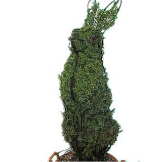 XL Buxus-Figur Hase für Buchsbaum-Pflanzen 90 cm