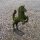 Gartenfigur steigendes Pferd Drahtgestell mit Moos