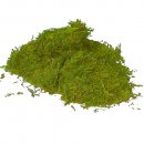 Sphagnum Moos grün getrocknet für Moosfiguren 1 kg